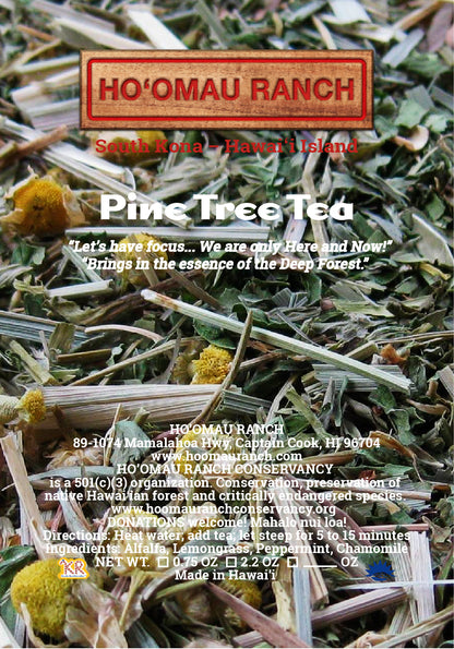 Pine Tree Tea