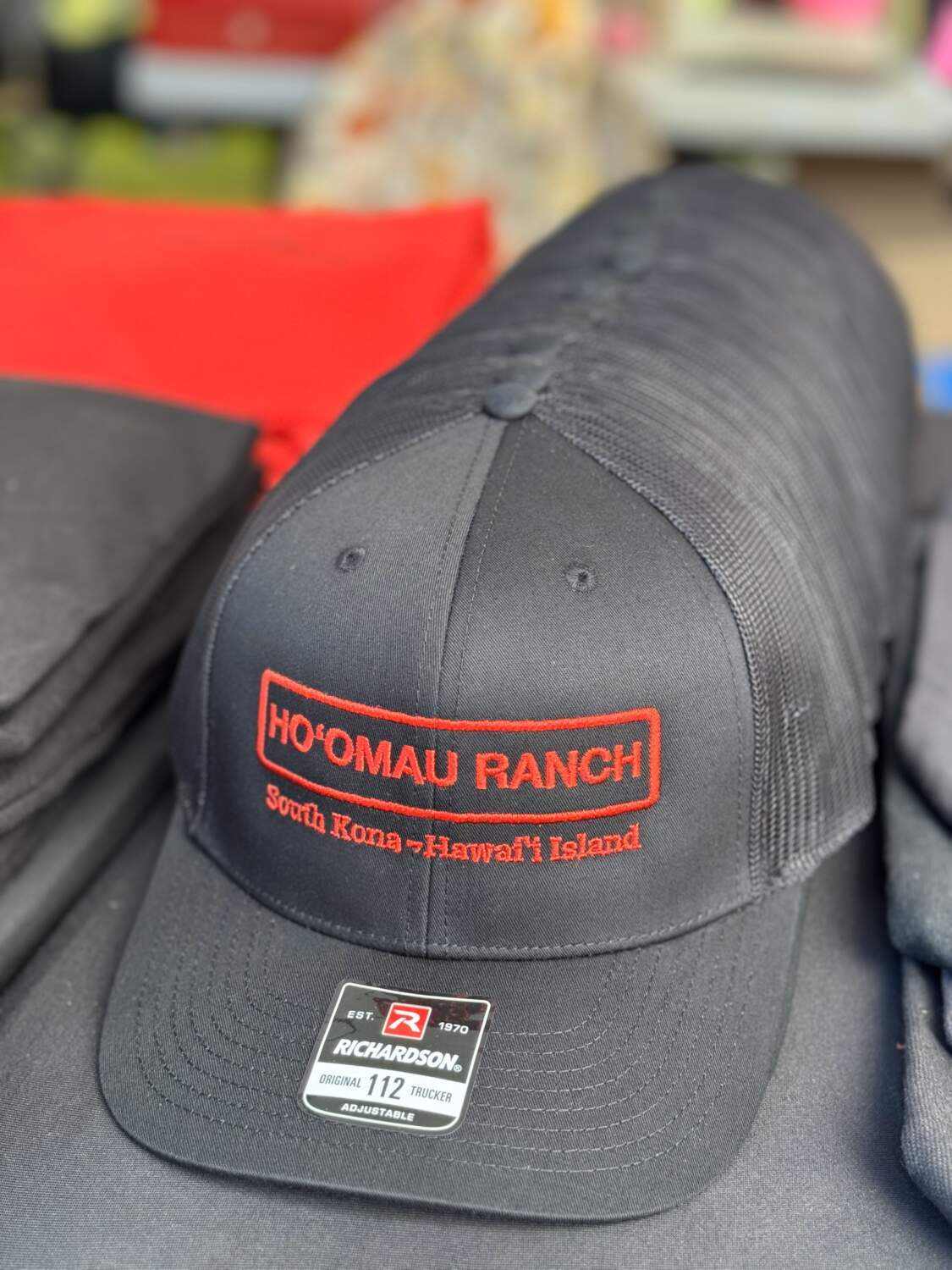 Richardson vented snap back hat
